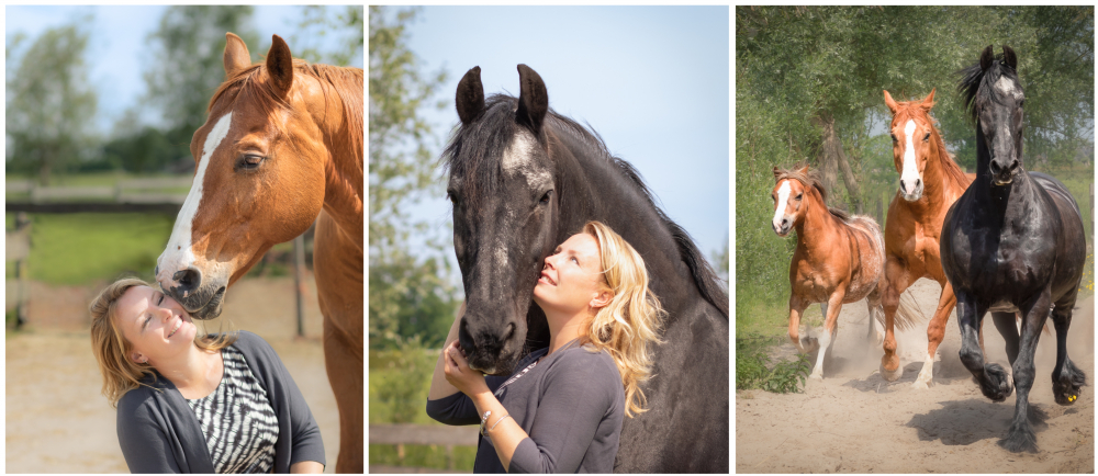 fotografie hattem Collage Marjolijn