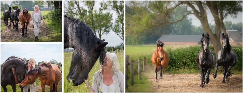 fotografie hattem coby collage 1